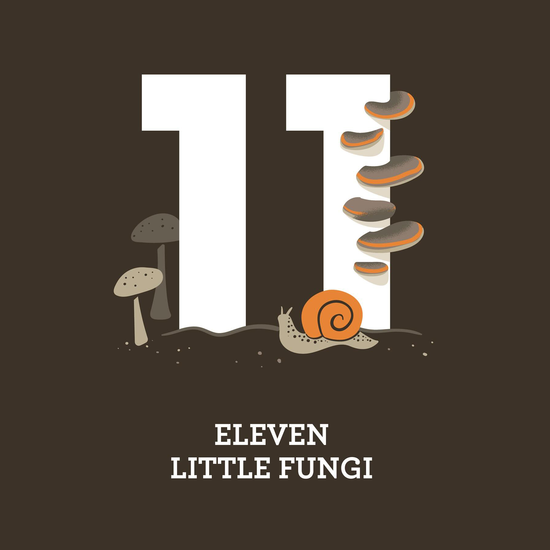 Eleven Little Fungi