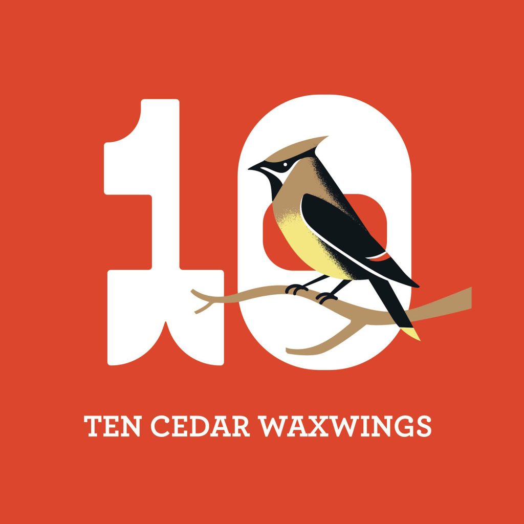 Ten Cedar Waxwings